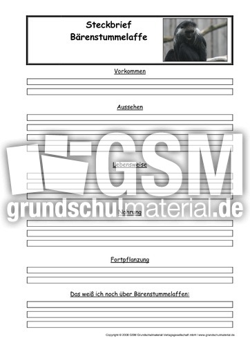 Bärenstummelaffe-Steckbriefvorlage.pdf